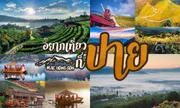 ขาย ที่ดิน ตำบลทุ่งยาว อำเภอปาย จังหวัดแม่ฮ่องสอน