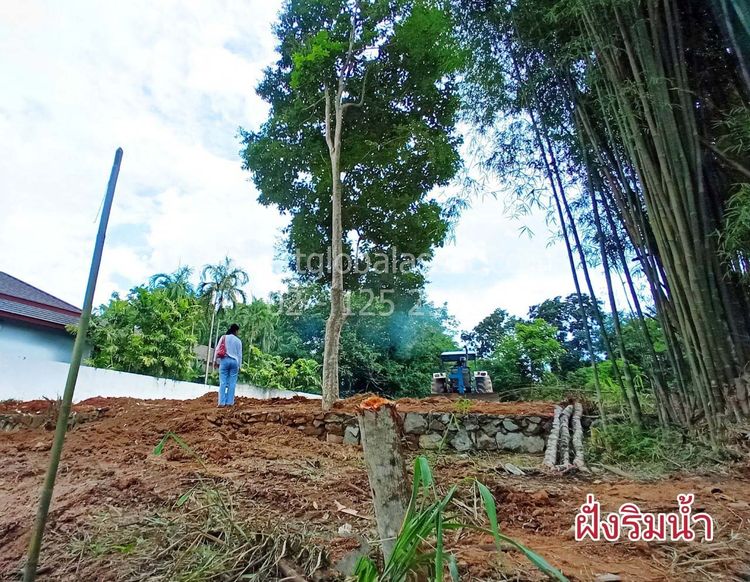 ที่ดิน 164 ตรว เชียงใหม่, ภาพที่ 4