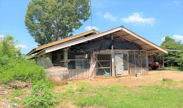ขายบ้านไม้ใต้ถุนสูง  อำเภอเมืองสระแก้ว  สระแก้ว (PKK02-07636), ภาพที่ 4