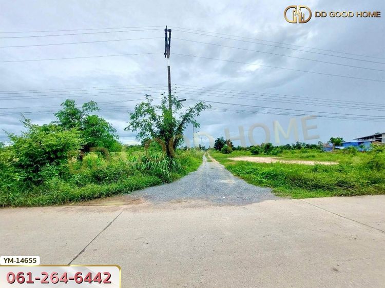 ที่ดินขนาด 4 ไร่ ใกล้วัดมาบพะยอม สุพรรณบุรี, ภาพที่ 4