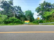 ขายที่ดินเปล่า ติดชายหาดบ้านหนองบัว (อำเภอละแม จังหวัดชุมพร)