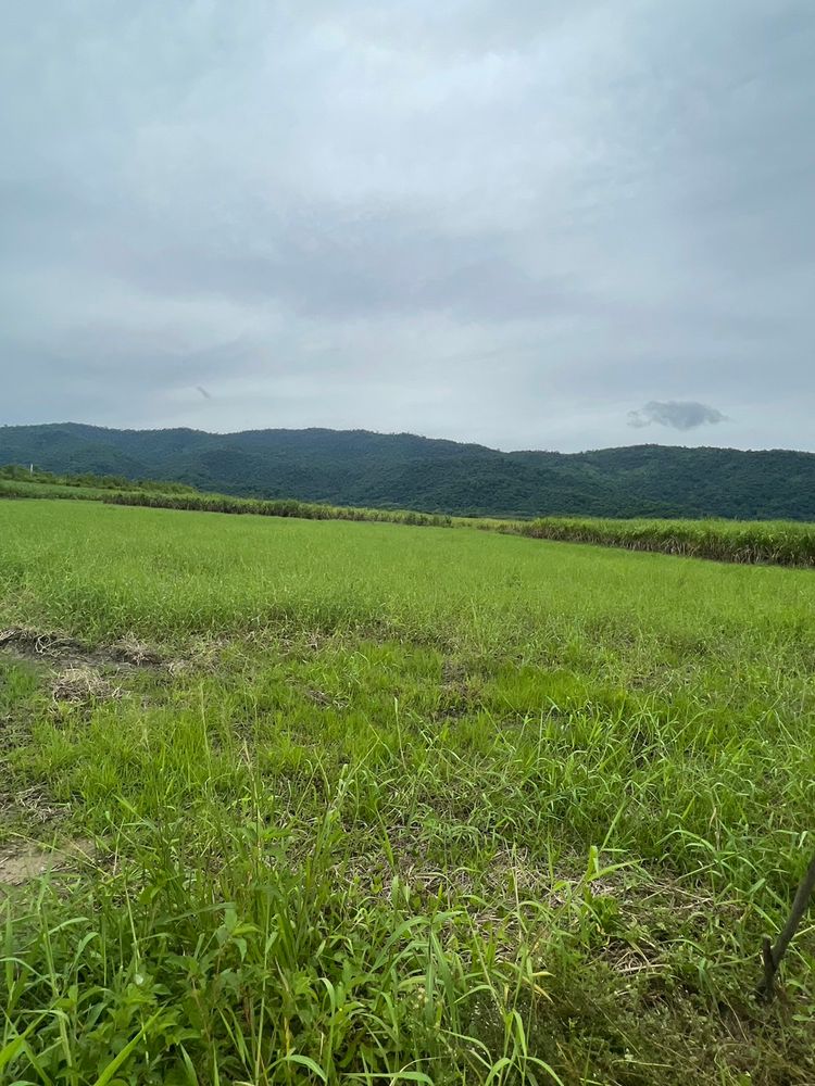 ขาย ที่ดิน 20 ไร่ ติดถนนทางหลวง วิวภูเขา ตำบลคลองกิ่ว อำเภอบ้านบึง, ภาพที่ 4