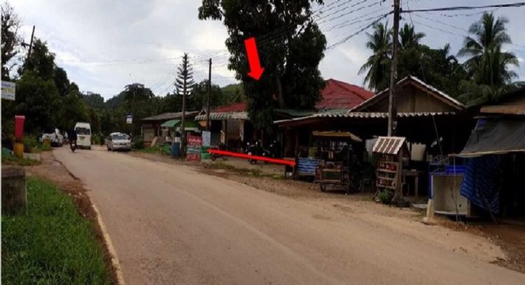 ขายบ้านเดี่ยวติดถนนศาลาด่าน-สังกาฮู้ อ.เกาะลันตา จ.กระบี่ PSC10534, ภาพที่ 4