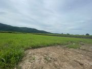 ขาย ที่ดิน 20 ไร่ ติดถนนทางหลวง วิวภูเขา ตำบลคลองกิ่ว อำเภอบ้านบึง จังหวัดชลบุรี