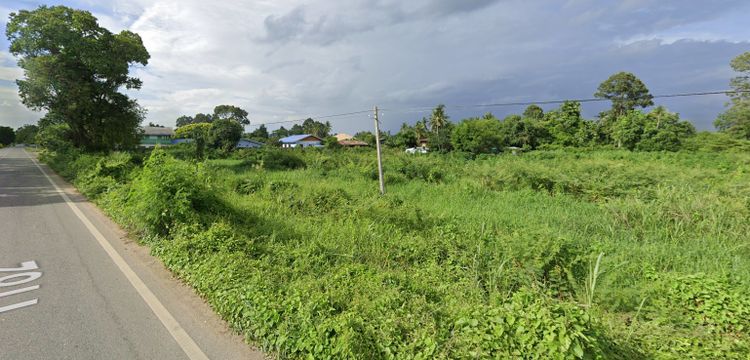 ขาย ที่ดิน ตำบลเขาดิน อำเภอเก้าเลี้ยว จังหวัดนครสวรรค์, ภาพที่ 4