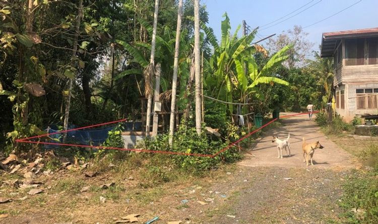 ขายบ้านเดี่ยว อำเภอหล่มเก่า เพชรบูรณ์  (PKK02-15236), ภาพที่ 4