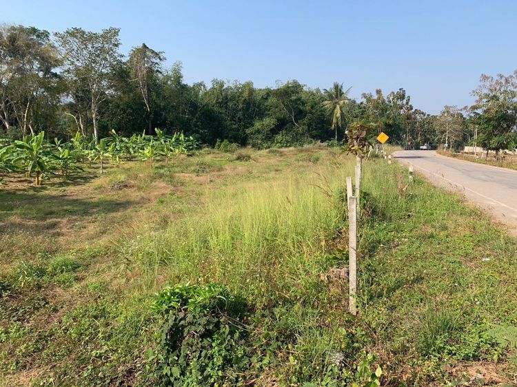 ขาย ที่ดิน ตำบลตาดควัน อำเภอพญาเม็งราย จังหวัดเชียงราย, ภาพที่ 4