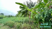 ขายที่ดินถมแล้ว ซอยเพชรเกษม 55 เนื้อที่ 100-500 ตรว. รูปแปลงสวย