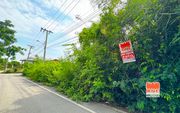 ขายที่ดินต่ำกว่าประเมิน! บางกะเจ้า เนื้อที่ 108 ตรว. ซอยเพชรหึงษ์ 28