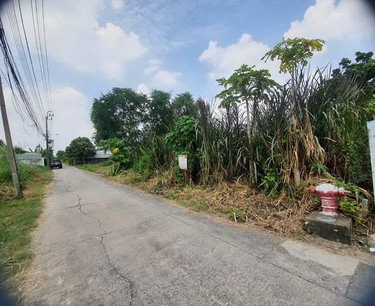 ขายที่ดิน ถ.พหลโยธิน 54/1 แยก 2 ซ.ทรัพย์สิน 1 พื้นที่ 226 ตรว., ภาพที่ 4