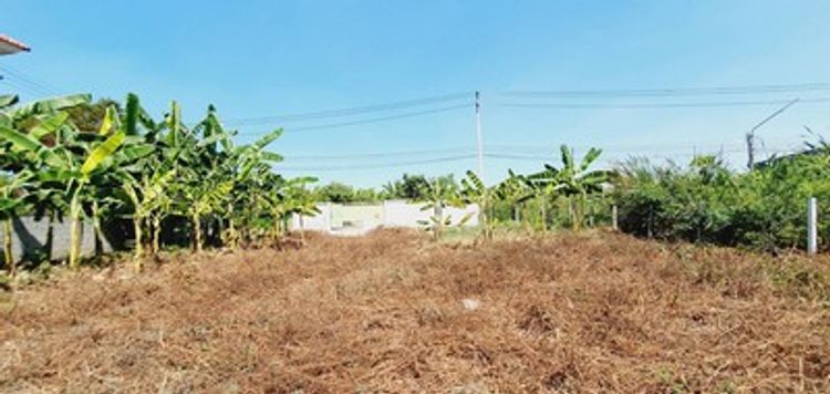 ให้เช่า-ขาย ที่ดิน ลำลูกกา-รังสิต คลอง4 ขนาด 124  ตรว เหมาะเช่าทำโกดัง , ภาพที่ 4