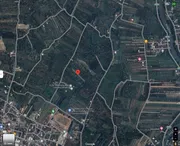 DD-0127 ขายที่สวน ต.หนองตอง อ.หางดง เชียงใหม่ 4ไร่-1งาน-59ตร.วา ถูกมากกก