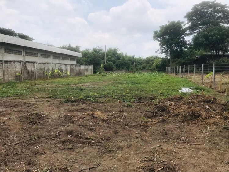 ขายที่ดินหมู่บ้านชวนชมปาร์ควิลล์ สามโคก ซ.วัดตระพัง-คลองเรือ ปทุมธานี, ภาพที่ 4