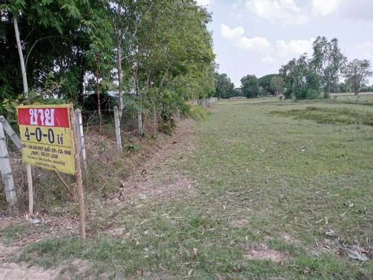 ขายที่นาสวยมาก  4 ไร่ บ้านหนองยาง ต.ชะยูง อ.อุทุมพรพิสัย จ.ศรีสะเกษ  , ภาพที่ 4