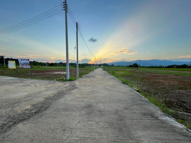 ที่ดินแบ่งขาย ราคาถูก บ้านม่วงคำ  ต.นางแล  อ.เมืองเชียงราย, ภาพที่ 4