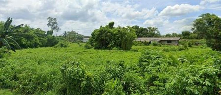 P27LR2309002 ขายที่ดิน 1-3-62 ไร่ ต.ศรีสุนทร อ.ถลาง จ.ภูเก็ต, ภาพที่ 4