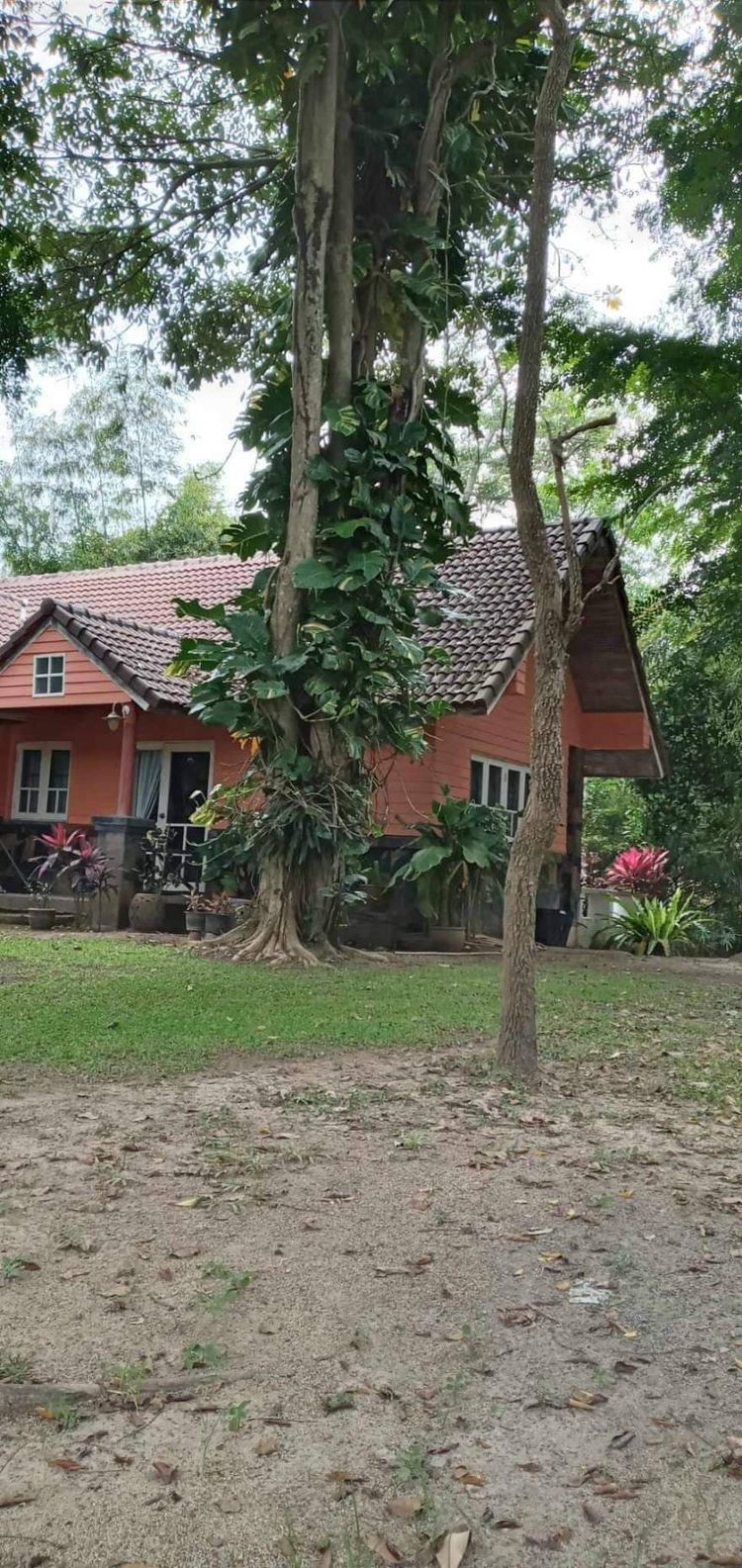 ขายบ้านริมน้ำ เขาใหญ่ ขนงพระ ใกล้เส้นธนะรัชต์ บ้านพร้อมที่ดินติดน้ำ 147, ภาพที่ 4