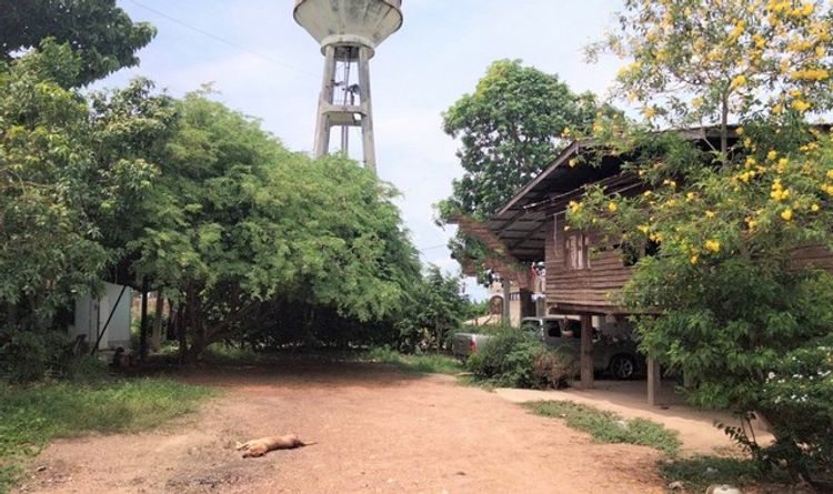 ขายบ้านไม้ยกพื้นใต้ถุนสูง  อำเภอเดิมบางนางบวช สุพรรณบุรี (PKK02-14057), ภาพที่ 4