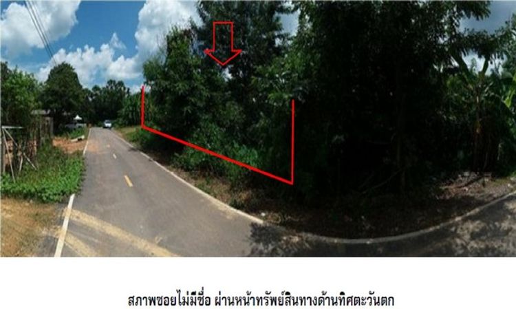 ขายที่ดินว่างเปล่าใกล้ แม็คโคร สตูล อ.เมืองสตูล จ.สตูล PSC10333, ภาพที่ 4