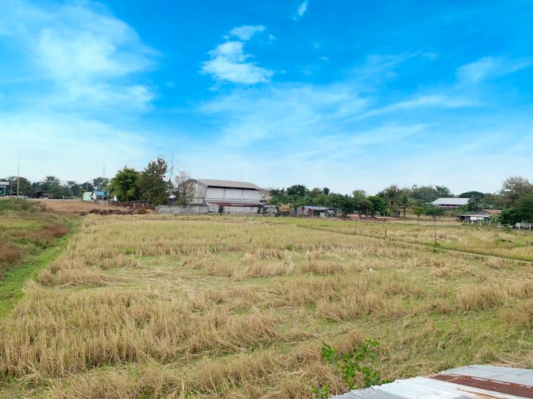 ขายที่ดินถูกมาก ไร่ละ 650,000 ขนาด 2 ไร่ 1 งาน 27 ตร.ว. ทำเลดี ใกล้ , ภาพที่ 4