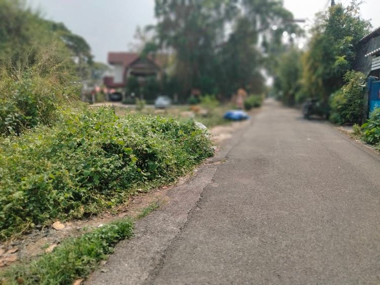 ขาย ที่ดิน ตำบลท่าศาลา อำเภอเมืองเชียงใหม่ จังหวัดเชียงใหม่, ภาพที่ 4