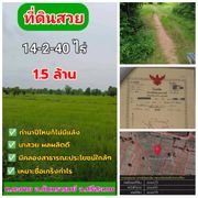 ขายที่ดินราคาถูกๆ ตำบลละทาย อำเภอกันทรารมย์ จังหวัดศรีสะเกษ