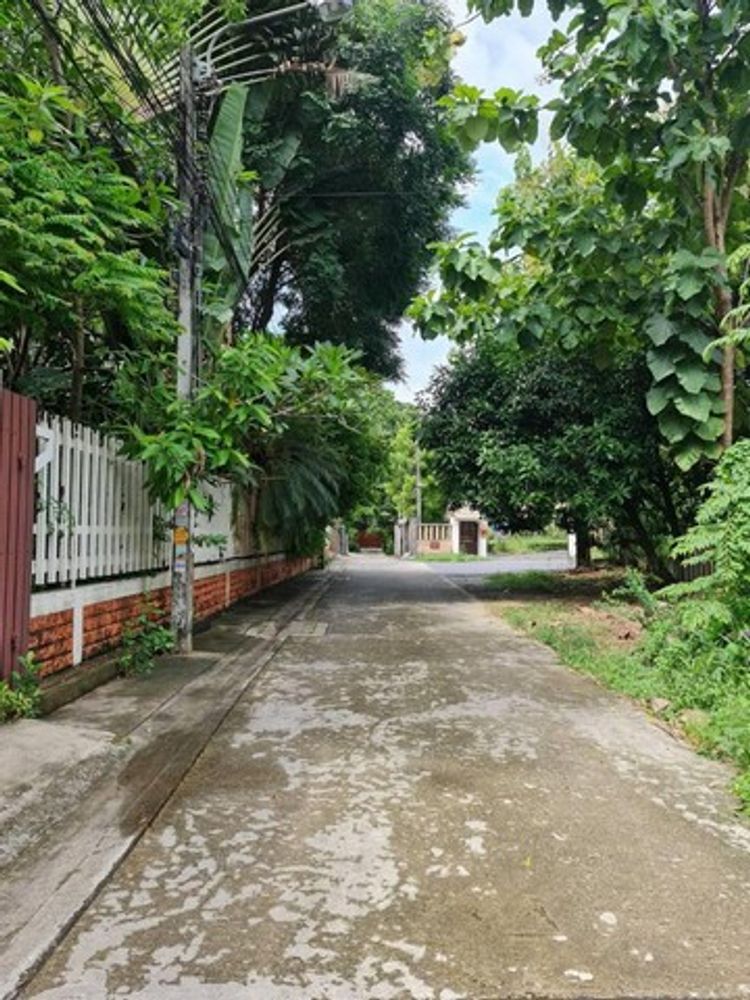 ขายที่ดิน พร้อมสิ่งปลูกสร้าง บางนา-ตราด ซอย 8  เนื้อที่ 490 ตารางวา , ภาพที่ 4