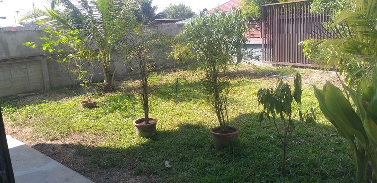 บ้านให้เช่าย่านหารแก้ว หางดง บ้านเบญจรงค์ บรรยากาศธรรมชาติ , ภาพที่ 4