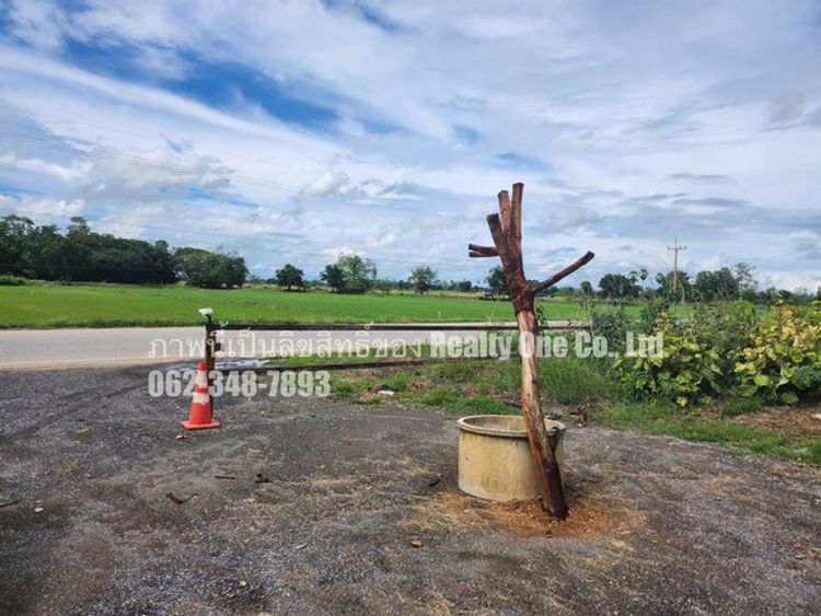 ขายที่ดินพร้อมสิ่งปลูกสร้าง ติดถนนทางหลวง ทำเลดี ต.บ้านไร่ อ.ศรีสำโรง, ภาพที่ 4