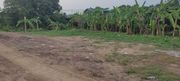 ขาย ที่ดิน ตำบลปากแคว อำเภอเมืองสุโขทัย จังหวัดสุโขทัย