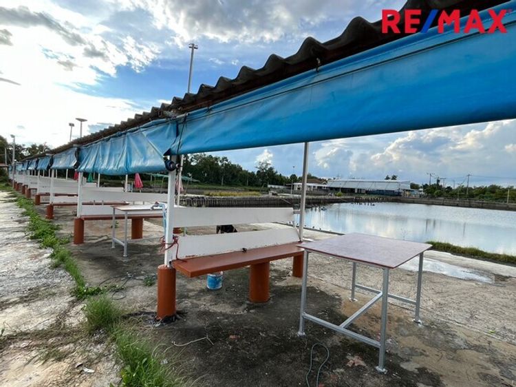 ขายที่ดิน ประชาอุทิศ 90 พระสมุทรเจดีย์ ใกล้วัดคลองสวน 18 ไร่กว่า หรือ, ภาพที่ 4