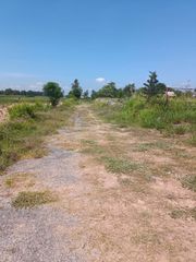 ขาย ที่ดิน ตำบลหนองปรือ อำเภอบางละมุง จังหวัดชลบุรี