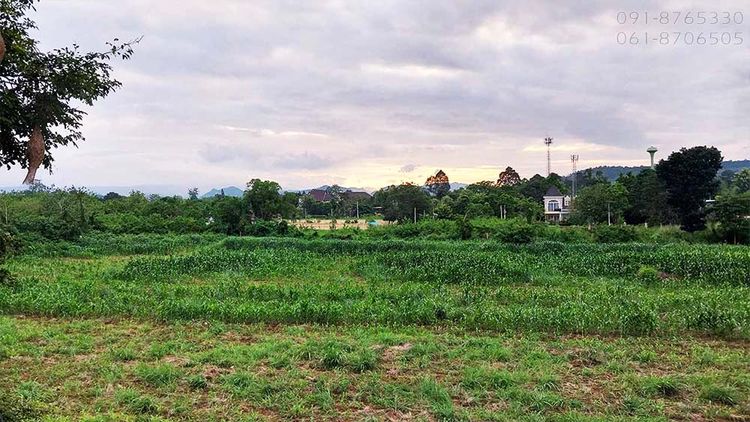 ขาย บ้าน ตำบลหมูสี อำเภอปากช่อง จังหวัดนครราชสีมา, ภาพที่ 4