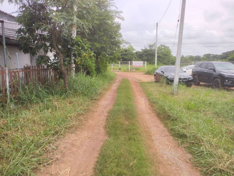 ขาย ที่ดิน ตำบลจุมพล อำเภอโพนพิสัย จังหวัดหนองคาย, ภาพที่ 4