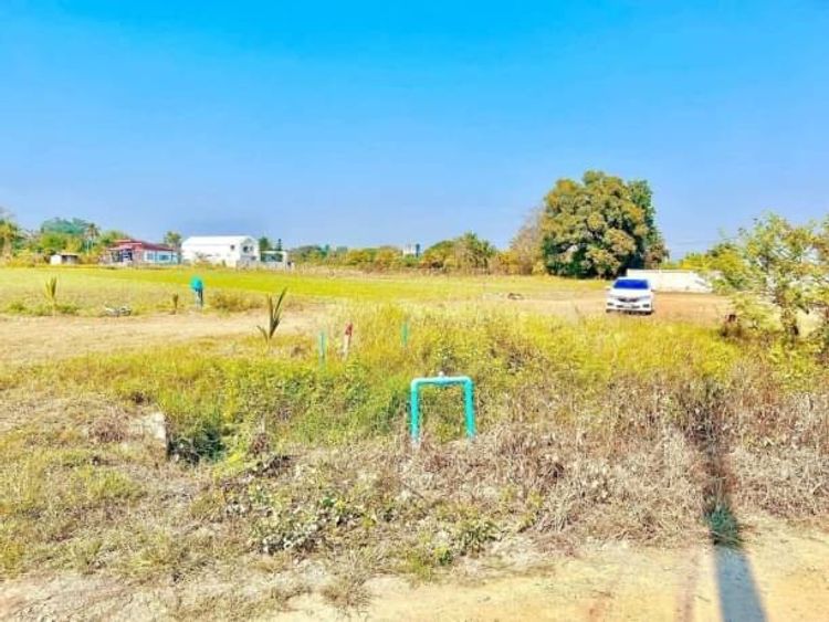 โซนหางดง ขายที่ดิน 9,000 บาท/ตรว. 100 ตรว. #แปลงสวย #ทำเลทอง #บ้านถวาย, ภาพที่ 4