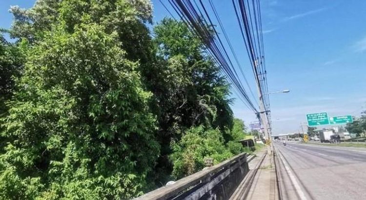 ให้เช่าที่ดิน 7 ไร่  พุทธมณฑล สาย5 อ.สามพราน นครปฐม เหมาะทำธุรกิจ , ภาพที่ 4