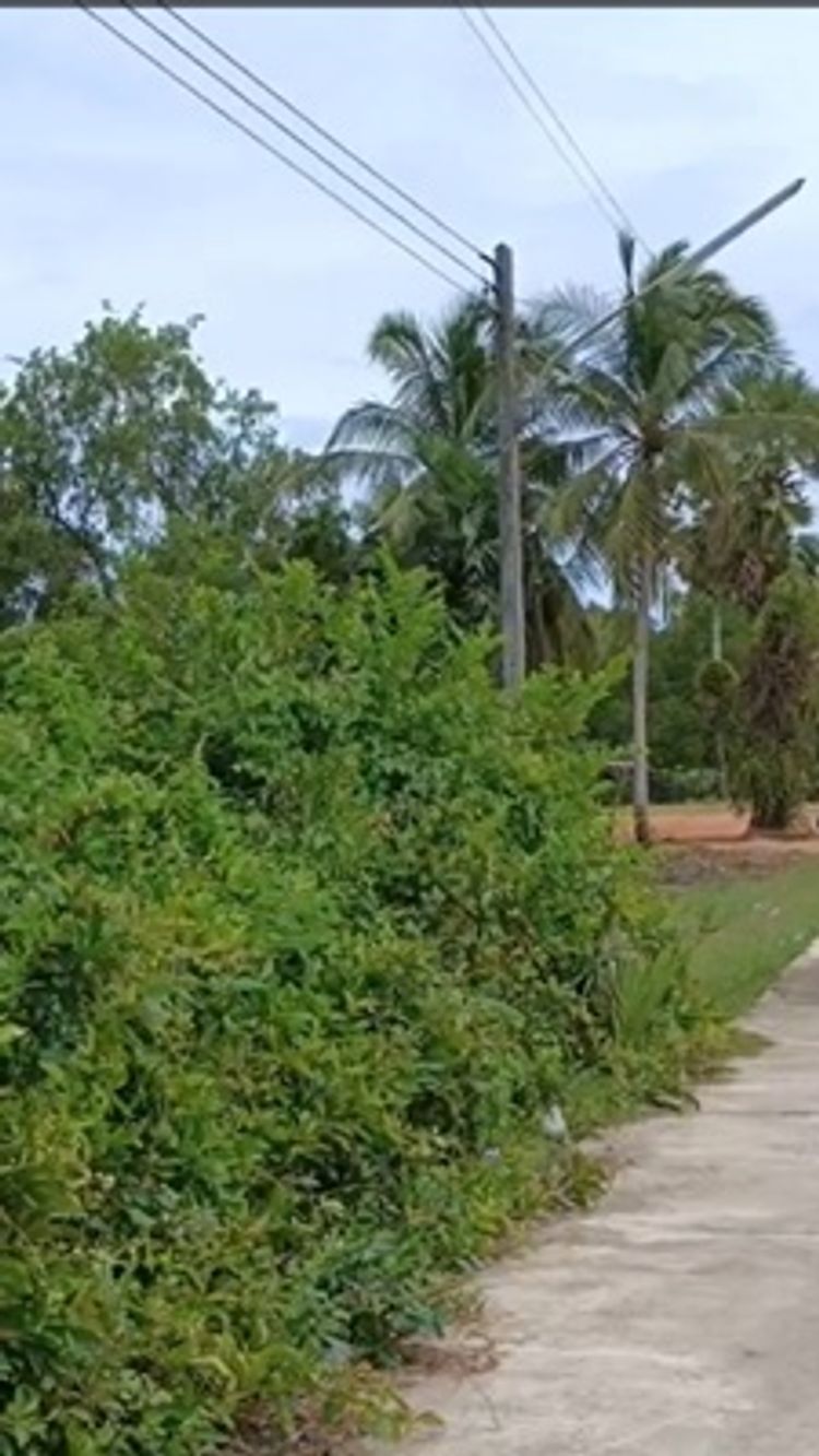 ขาย ที่ดิน ตำบลรูสะมิแล อำเภอเมืองปัตตานี จังหวัดปัตตานี, ภาพที่ 4