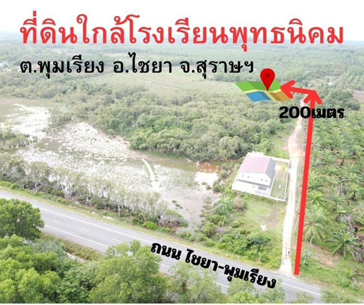 ขาย ที่ดิน ตำบลพุมเรียง อำเภอไชยา จังหวัดสุราษฎร์ธานี, ภาพที่ 4