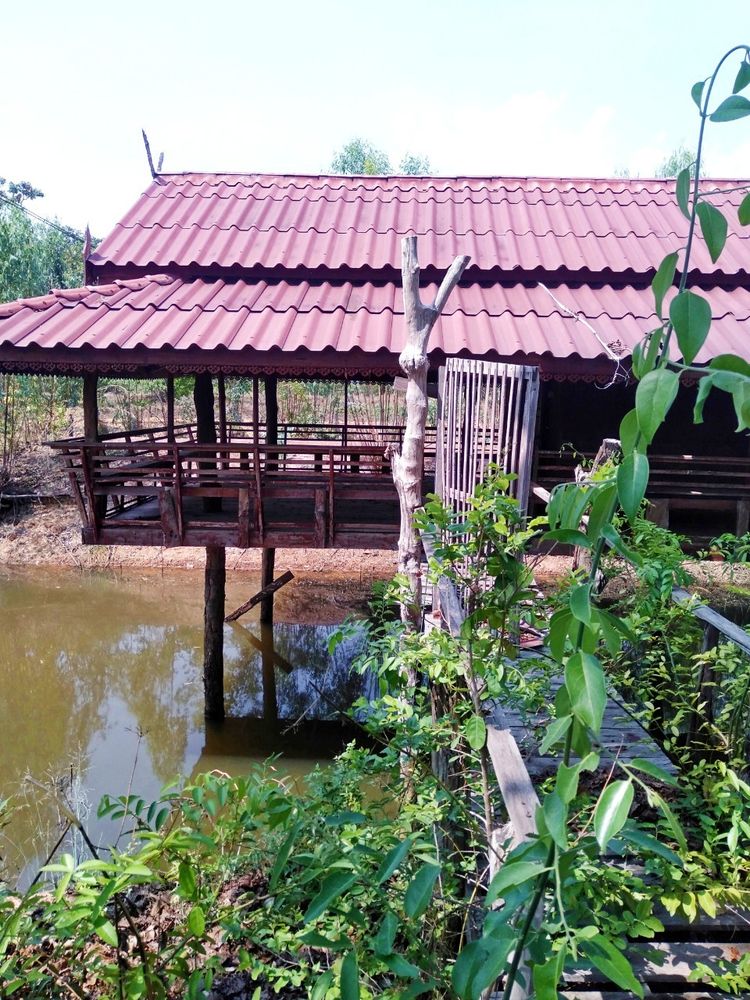 ขายที่ดินชาญเมืองในเขตเทศบาลเมือง**เนื้อที่ 3 ไร่ 1 งาน มีสระน้ำ 1, ภาพที่ 4