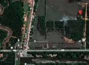ขาย ที่ดิน ตำบลพุมเรียง อำเภอไชยา จังหวัดสุราษฎร์ธานี