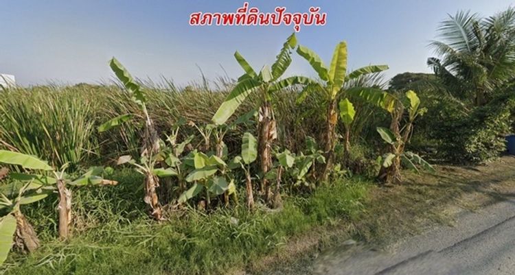 ให้เช่า ที่ดินเปล่า เนื้อที่ 10-0-28 ไร่ ซ.ร่มเกล้า 25 เขตลาดกระบัง, ภาพที่ 4