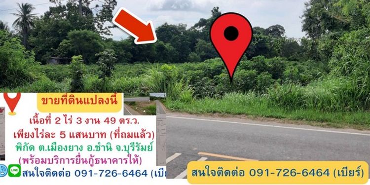 ขายด่วนๆ ที่ดินถมแล้ว เนื้อที่ 2ไร่ 3 งาน 49 ตารางวา ตำบลเมืองยาง, ภาพที่ 4