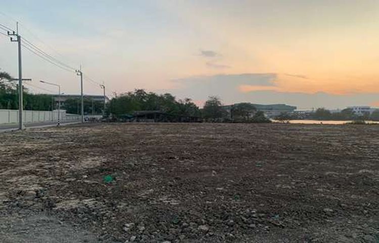 ขาย ที่ดิน ตำบลท้ายบ้านใหม่ อำเภอเมืองสมุทรปราการ จังหวัดสมุทรปราการ, ภาพที่ 4