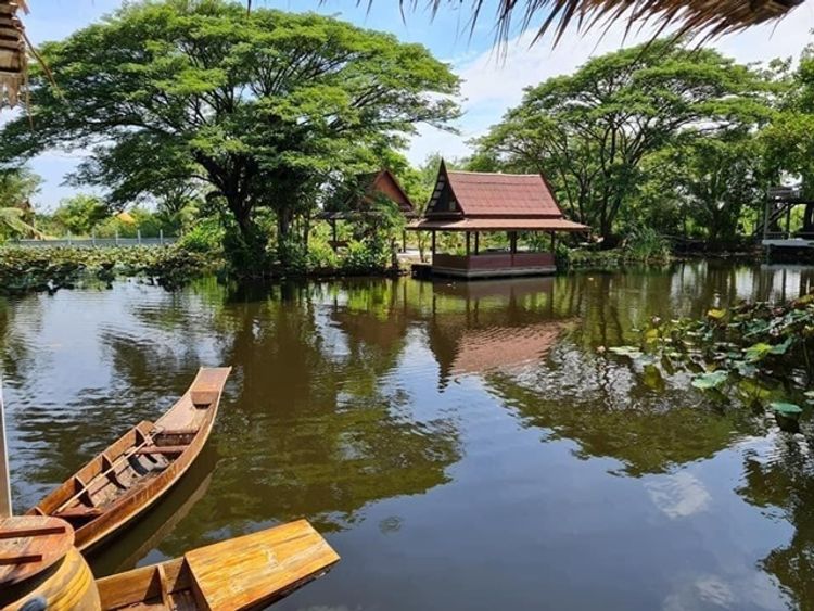 ให้เช่าที่ดิน-เรือนไทย-เรือนแต่งงาน สตูดิโอ ตลาดกิเลน  มหิดล ไร่, ภาพที่ 4