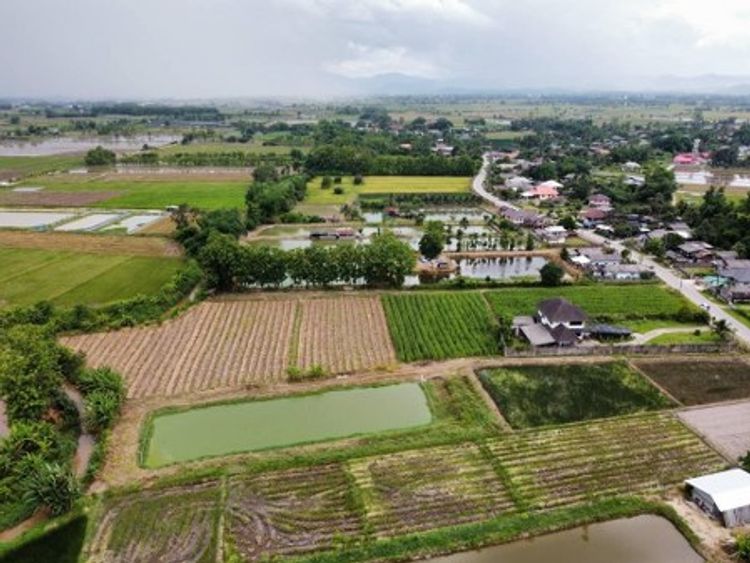 ขายที่ดิน ตำบลแม่ไร่ อำเภอแม่จัน จังหวัดเชียงราย, ภาพที่ 4
