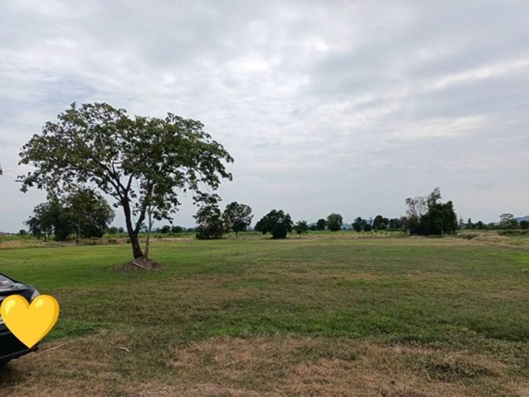 ขาย ที่ดิน ตำบลหนองกระทุ่ม อำเภอเดิมบางนางบวช จังหวัดสุพรรณบุรี, ภาพที่ 4