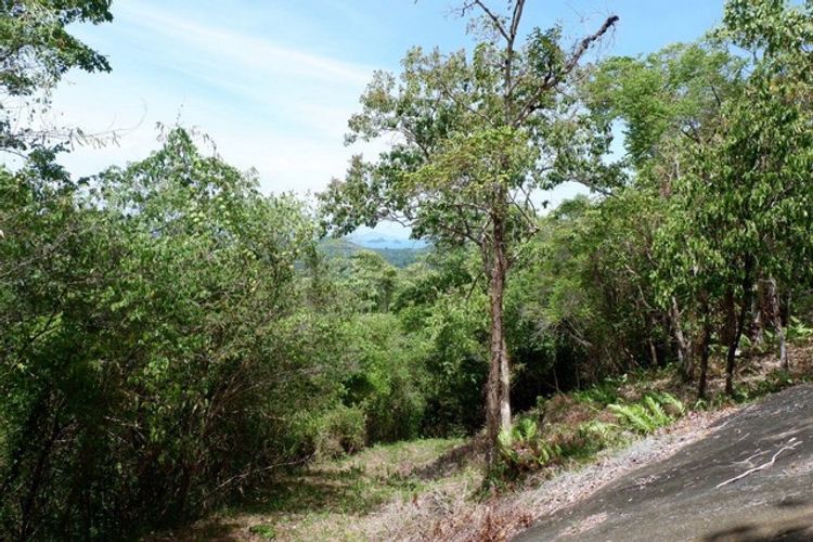 ขายที่ดินบนภูเขา เกาะสมุย วิวทะเลที่ดินแบ่งขายไร่ละ 3 ล้านบาท, ภาพที่ 4