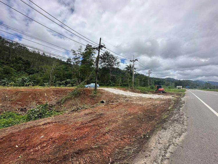 ถูกที่สุดในย่านนี้!! ที่ดินทำเลทอง ถมแล้ว ติดถนนเพชรเกษม , ภาพที่ 4