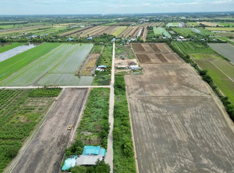 ขายที่ดินแปลงเล็ก 2 แปลง ลาดหลุมแก้ว เข้าทางวัดบัวสุวรรณประดิษฐ์ 2 กิโล, ภาพที่ 4