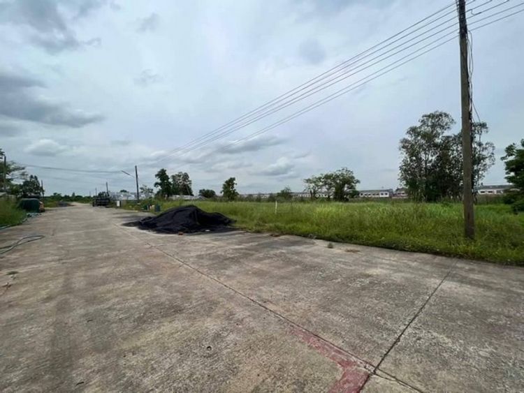 ที่ดินทำเลทอง ขายต่ำกว่าราคาประเมิน คลอง9 ธัญบุรี (ซ.ต้นไม้ใหญ่), ภาพที่ 4